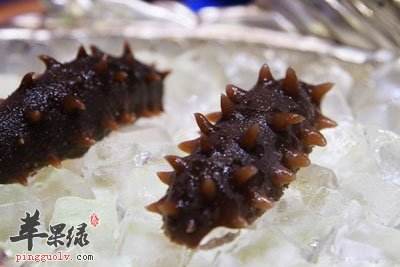 产妇可以吃海参吗(刚生完孩子的产妇可以吃海参吗)